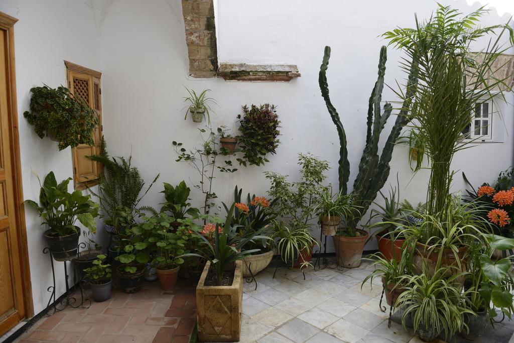 Casa Rural Las Cadenas del Cananeo Arcos de la Frontera Exterior foto